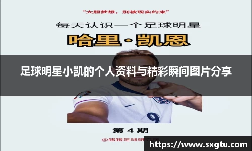 美高梅游戏mgm官网入口