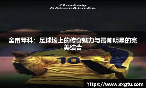 舍甫琴科：足球场上的传奇魅力与最帅明星的完美结合